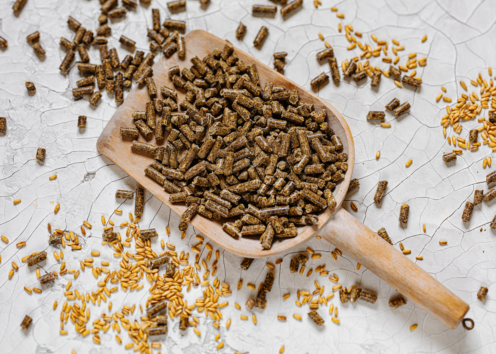 Röschmann Pferdefutter r’ vital komplettpellets auf einer Schippe aus Holz