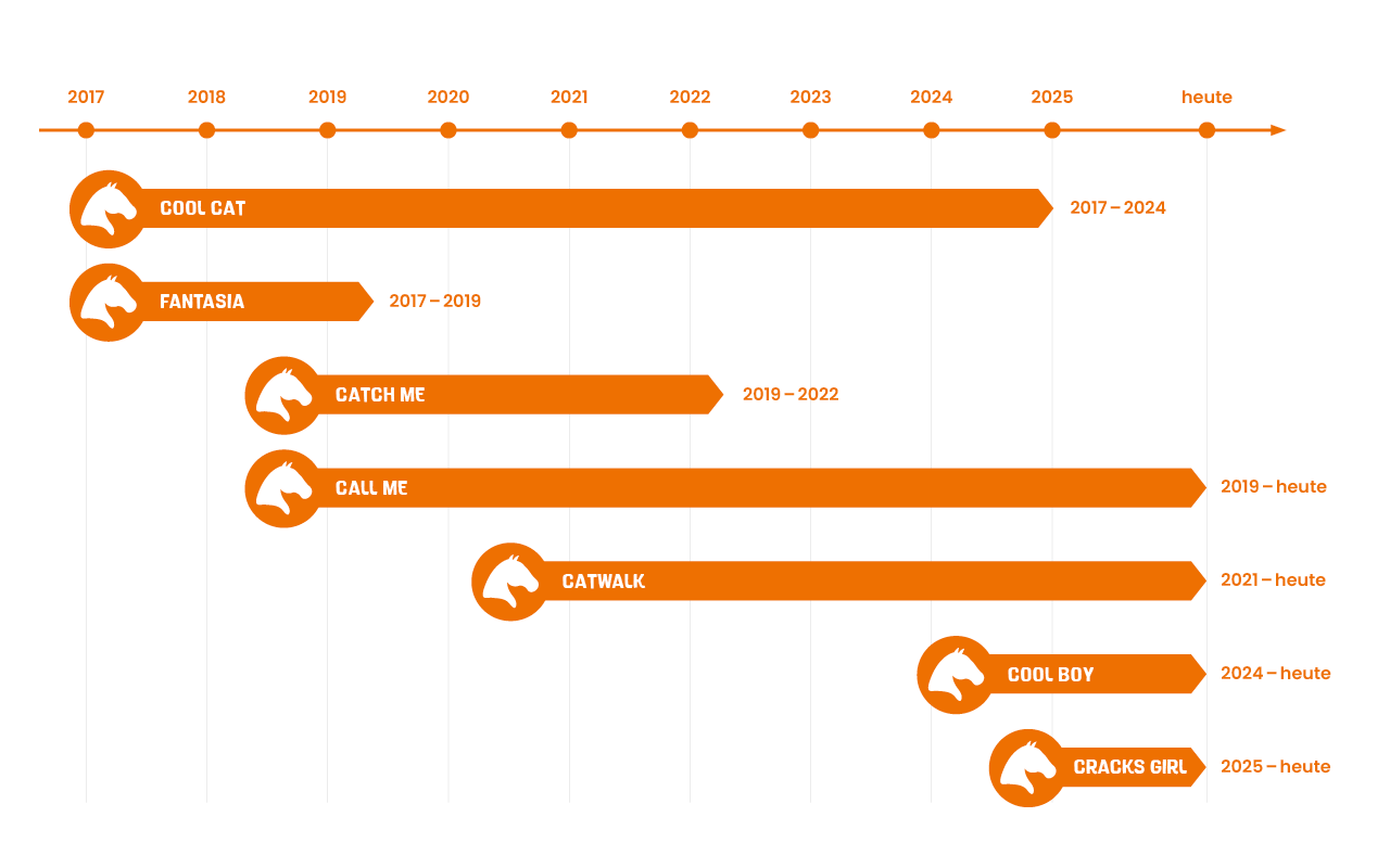 Eine Grafik mit Jahresstrahl, die die Pferde von Thore Stieper nennt